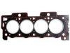 Joint de culasse Cylinder Head Gasket:0209.Y0