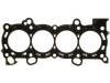 Junta de culata Cylinder Head Gasket:10136700