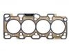 Cylinder Head Gasket:1002210GD050